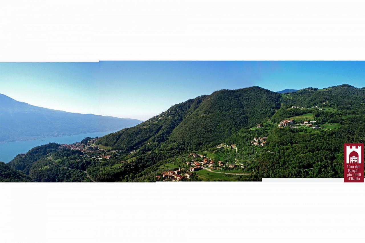 Villetta Ulivi Ca7 Sun Terrace By Gardadomusmea Tremosine Bagian luar foto